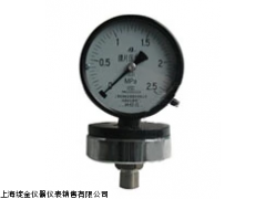 YPF-100A膜片壓力表 上海自動化儀表四廠的精密測量解決方案